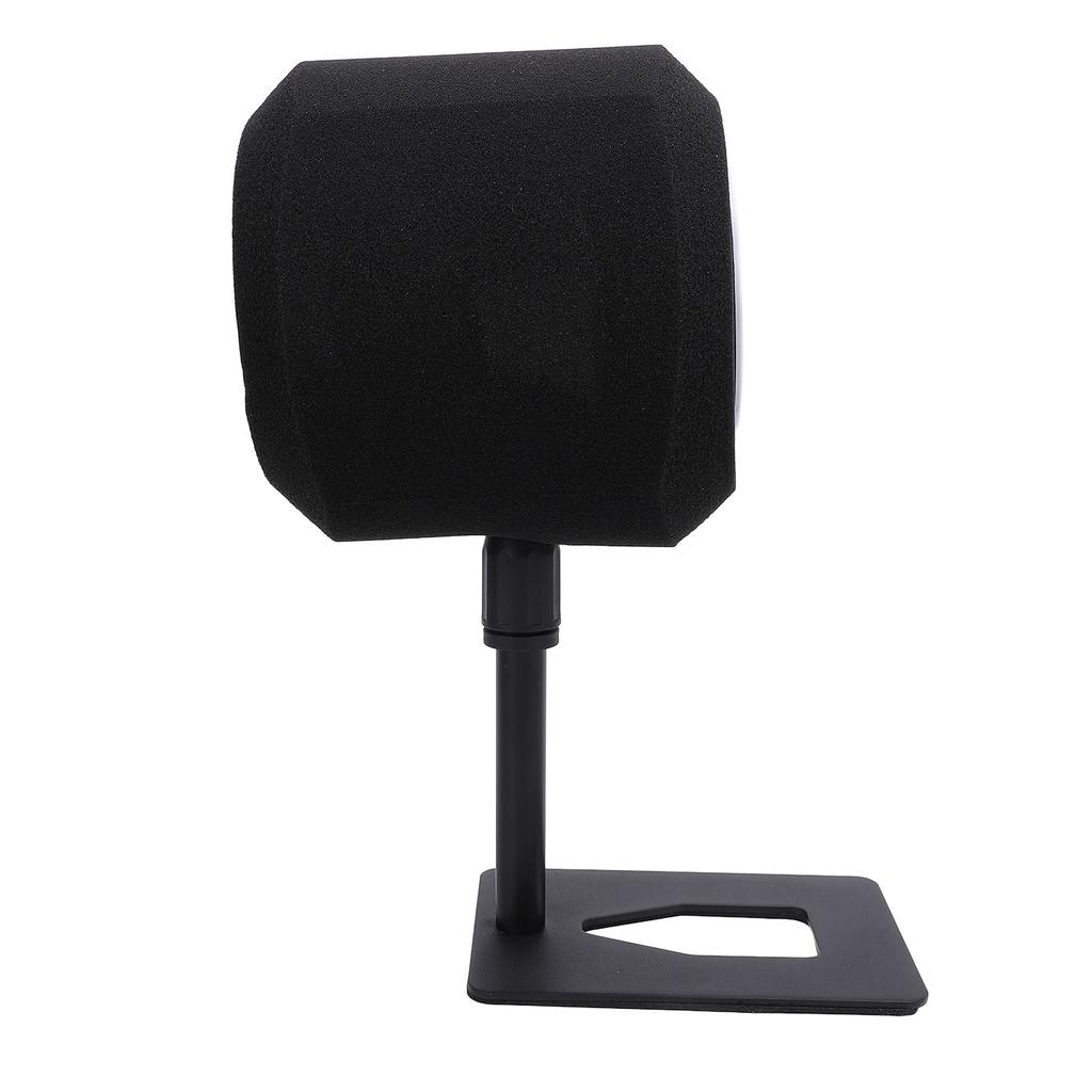 Microphone Isolation Ball Noise Reduction Windscreen Pop Filter for Condenser Microphones with Poten