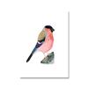 Toucan Watercolor Tropical Rain Forest  Wall Art Canvas Painting Nordic Toucan Posters And Print Picture Living Room Home Decor