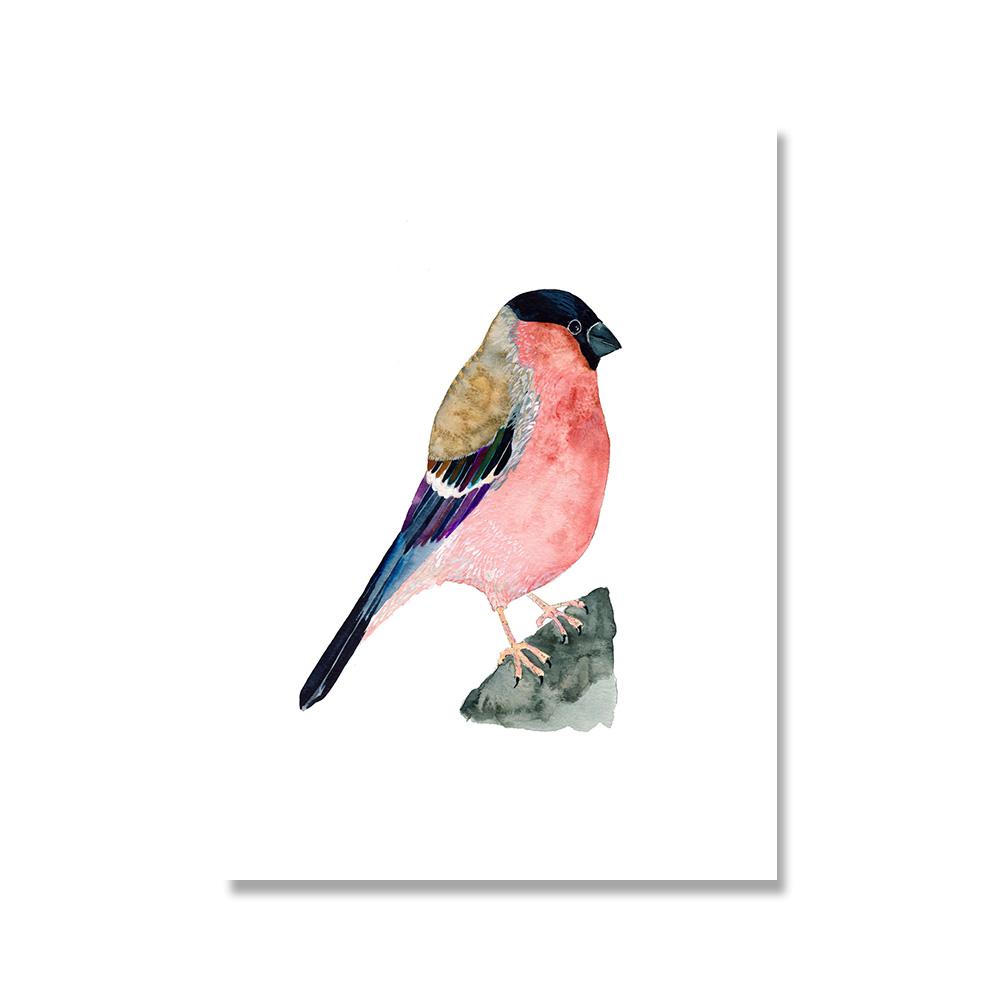 Toucan Watercolor Tropical Rain Forest  Wall Art Canvas Painting Nordic Toucan Posters And Print Picture Living Room Home Decor