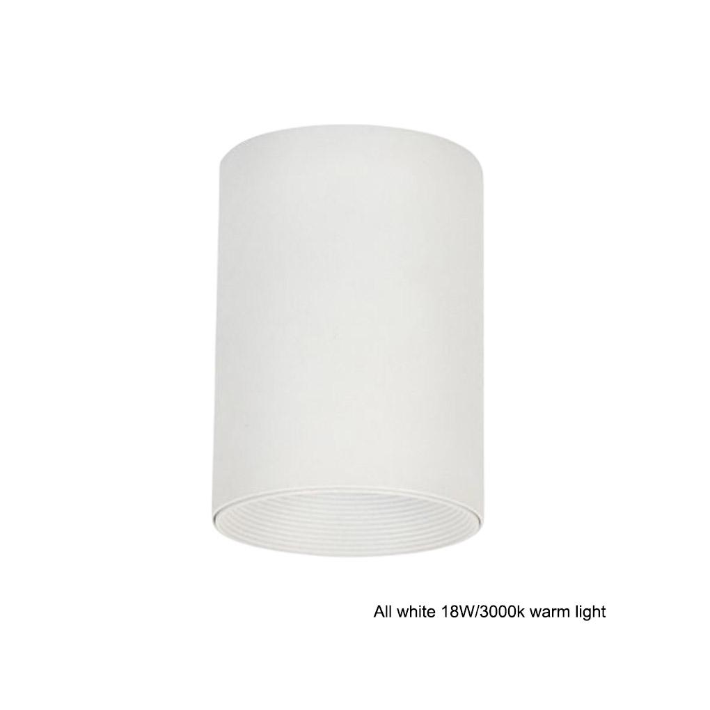 LED Wall Lamp High-Power Aluminum Alloy Downlight Modern Ceiling Light Indoor Bedroom Corridor Room Shoes Stores