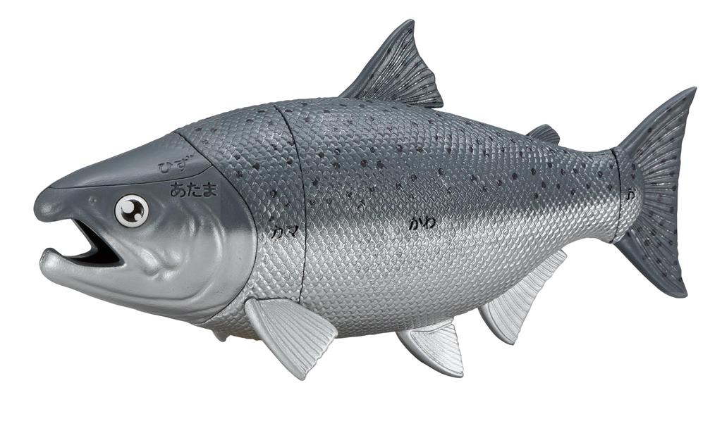 Buy King Salmon Dissection Puzzle One!!