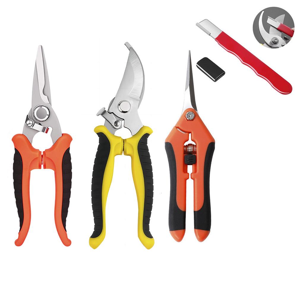 Customized Stainless Steel Pruning and Grapes Shear Set - Includes Garden Tools and Fruit Picking Scissors.