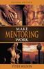 The Make Mentoring Work 2/e Book