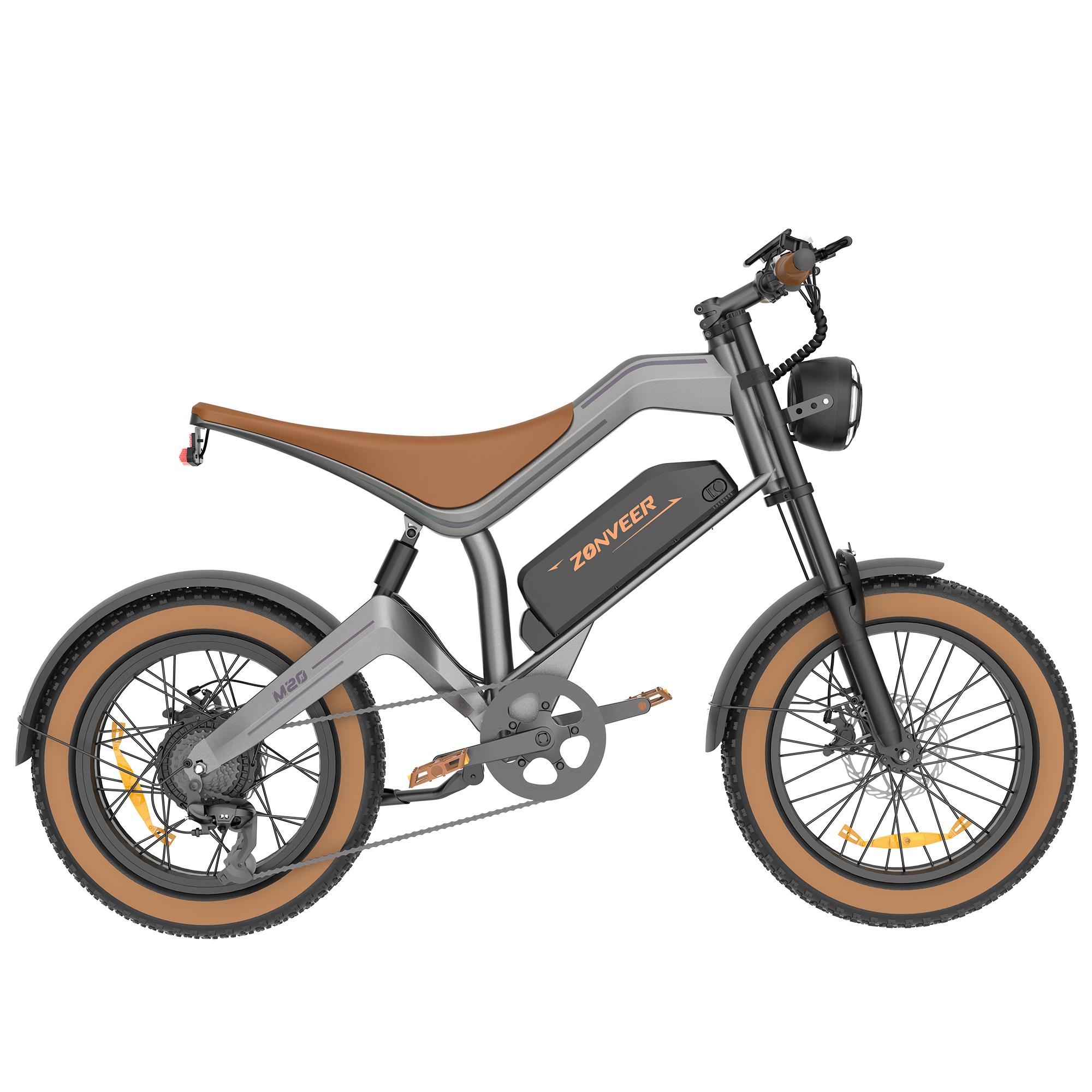 DYU M20 Adult Electric Bicycle 1500W