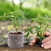 500/100Pcs Plant Nursery Bags Biodegradable Non-Woven Fabric Seedling Pouch Flowers Fruit Tree Seed Grow Bag Pot Garden Supplies