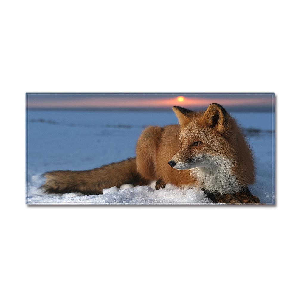 3D Digital Printing Animal Entrance Door Mat Kitchen Dirt-Resistant Long Bathroom Absorbent Floor Mat Living Room Non-Slip Carpet
