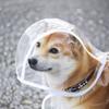 XS/8XL Pet Raincoat Transparent Dog Raincoat Waterproof and Windproof Pet Clothing Large Dog Pet Dog Dog Costume
