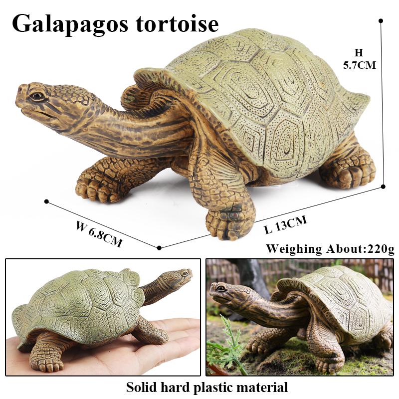 Oenux Sea Life Animals Model Leatherback Tortoise Turtle Growth Cycle Ocean Figurines Action Figures PVC Collection Kid Toy Gift