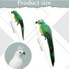 25/35cm handcrafted simulated creative parrot feather lawn small statue decoration animal bird garden bird accessory decoration