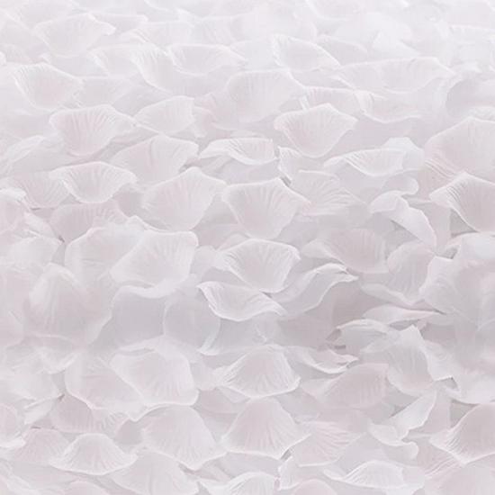 Rose Petal Decor for Weddings: Ceremony, Room, Proposal & More