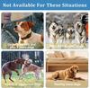 2024 Ultrasonic Outdoor Smart Anti-Bark Device