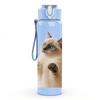 1PC Playful Kitten Cat 750ml Color Plastic Sports Water Bottle Leakproof Flip Straw Lid Suitable for Sports Office Home Use