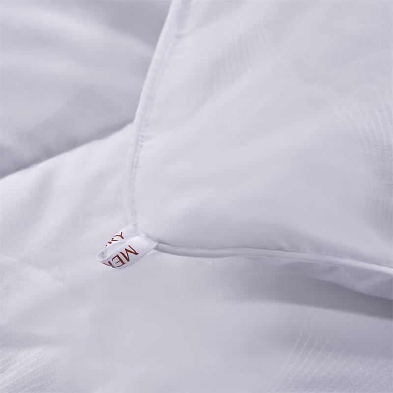 Mercury Home Textiles California Sunshine Antibacterial All-Season Fiber Duvet