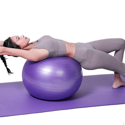 Balance Ball Back Support Pilates Thickened Skin Friendly for Gymnastics Practice Stability