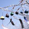 Wind Chimes For Outside Whale Windchimes Outdoors Metal Wind Chimes Hanging Decorations Doors Garden Patio Decor Home Decor