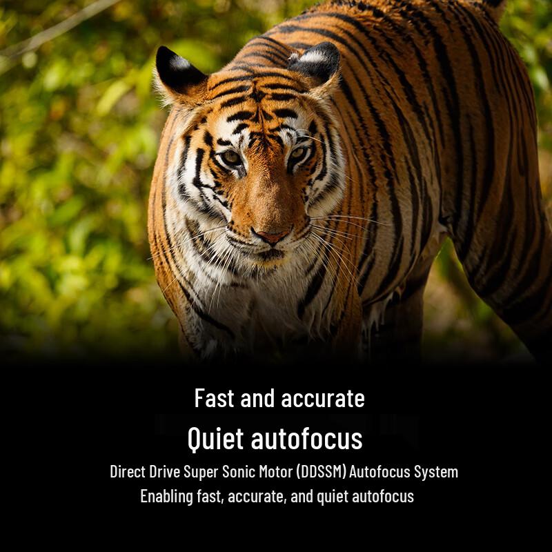 Sony FE Full-Frame Telephoto Zoom Lenses
