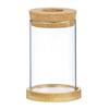 Mini Glass Flower Pot for Indoor Plants - Hydroponic Ornament with Moss Landscape