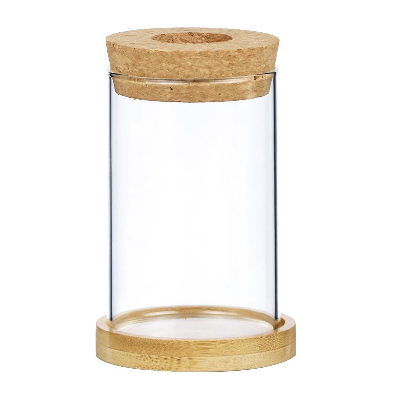 Mini Glass Flower Pot for Indoor Plants - Hydroponic Ornament with Moss Landscape