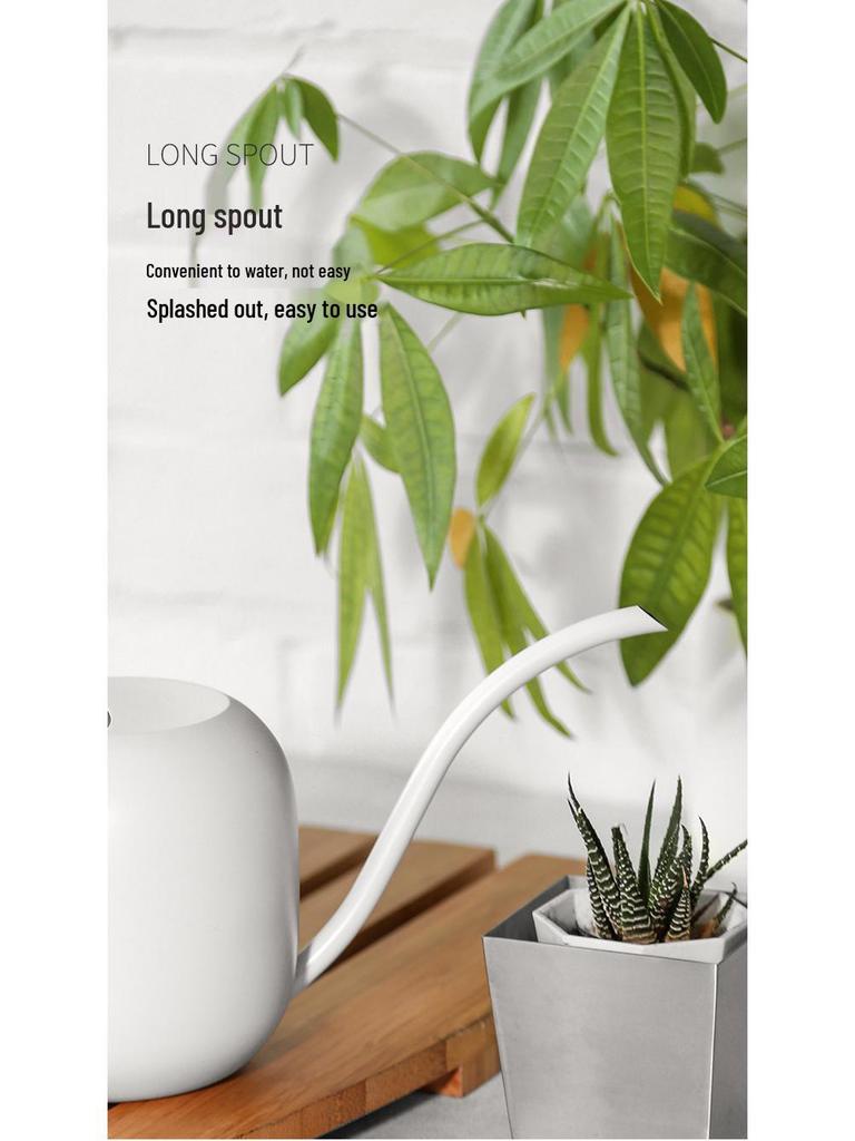 Stainless Steel Long-Spout Watering Can with Misting Sprayer for Gardens