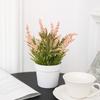 Plastic Plant Artificial Plant Bonsai Fake Flower Simulation Flower Pot Bonsai Plants  Home