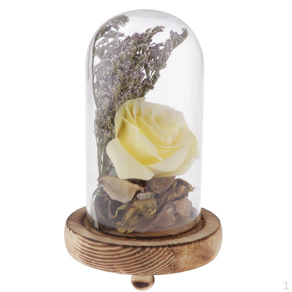 Clear Cloche Bell Microlandscape Flower Preservation Vase Yellow