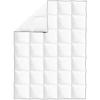 VidaXL Couette en duvet d'hiver 150 x 200 cm 132881