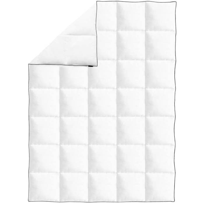 VidaXL Couette en duvet d'hiver 150 x 200 cm 132881