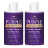 Paarse Shampoo en Conditioner Set voor Blond, Zilver en Grijs Haar, Verbetert Highlights, Verwijdert Gele & Koperkleurige Tinten, Grijs Gekleurd Haar, Voedt &