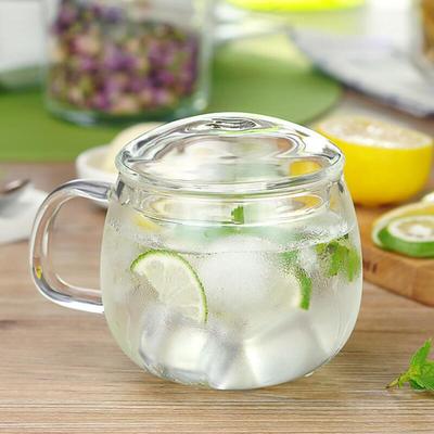 Adrian Heat-Resistant Glass Tea Mug (300ml)