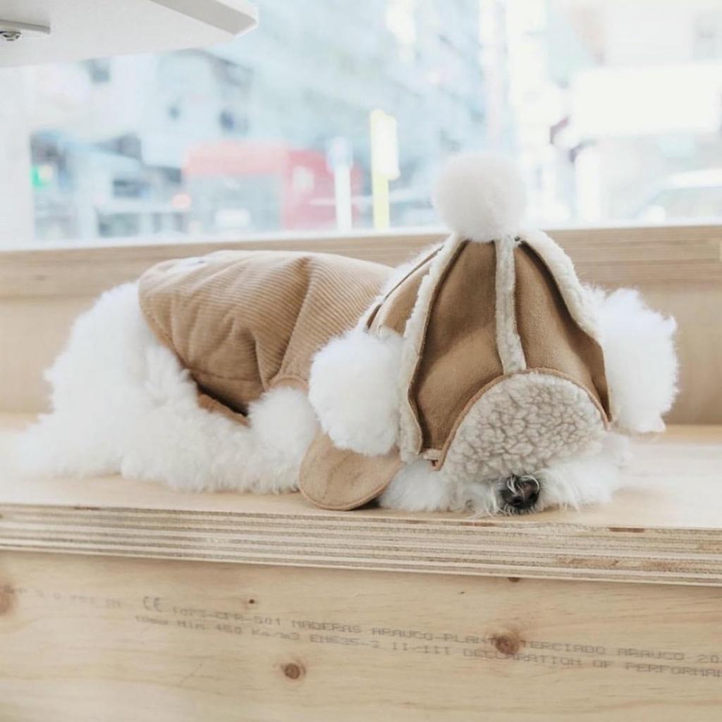 Winterhundehut,Warme Niedliche Verstellbare Fleece-Haustierkappen mit Bommel,Hals-Ohrenwärmer Welpenmütze für und Hundeparty-Dekoration