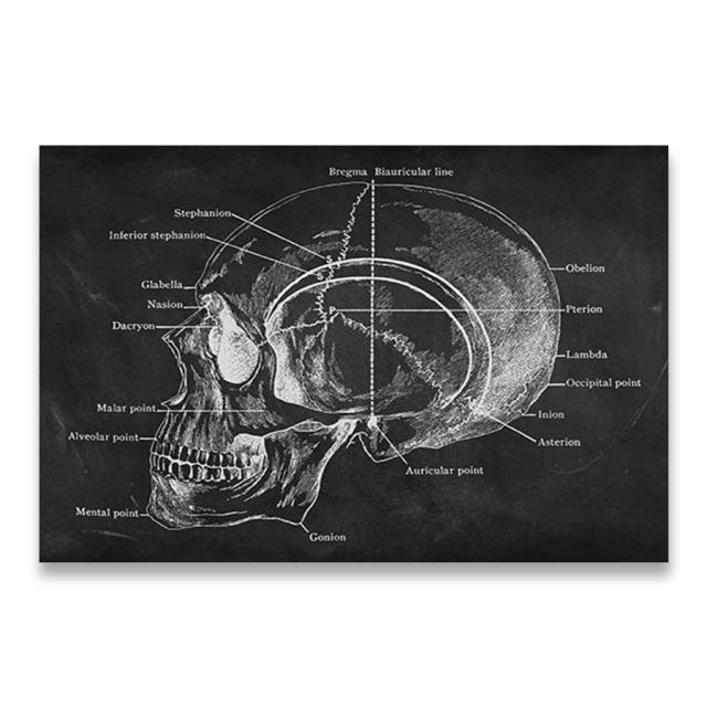 Έργα τέχνης ανθρώπινης ανατομίας ιατρική κλινική εικόνα τοίχου Σκελετός όργανο μυϊκό σύστημα Εκτύπωση εκλεκτής ποιότητας καμβάς Εκπαίδευση σώματος Αφίσα χωρίς πλαίσιο