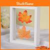 Wooden Doublesided Glass Photo Frame For A4 Herb Leaf Specimen Diy Art Display For Home Decor
