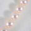 [Used] Akoya Pearl/Pearl Silver 7.0-7.5mm Pearl Necklace/j19-34