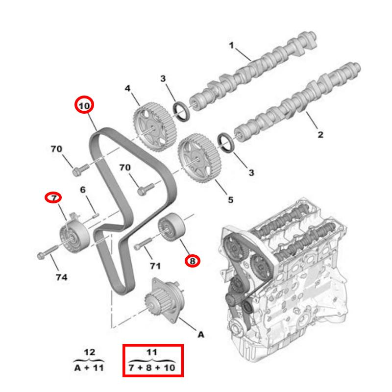 0816H6 0831R9 0829F6 TIMING BELT component For Peugeot 206 207 308 307 408 301 2008 Citroen C2 C3 C4 Elysee Picasso 1.6L