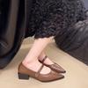 Retro pointed head shallow mouth single shoes women's spring and autumn new fashion small leather shoes thick heel temperament Mary Jane shoes
