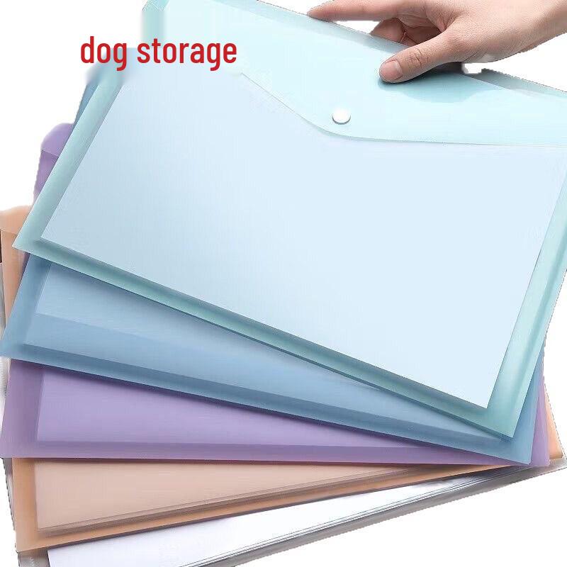 A4 Cartoon Transparent Snap Button File Bag with Label Storage