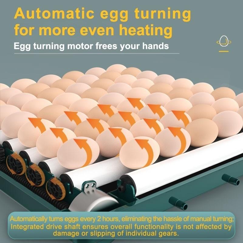 12/24/48/64/130 Eggs Automatic Incubator Thermostatic Chicken Hatching Machine Multifunctional Farm Egg Hatcher
