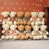 Schönes Teddybär-Plüschtierpaar, hochwertige Bären mit Kleidung, Rock, Plüschkissen, Stoffpuppen für Mädchen