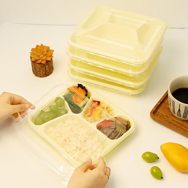 Disposable 5-Compartment Lunch Box