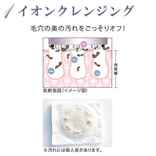 Ebisu Cosmetics (EBiS) Ultrasonic Facial Beauty Device Twin Elenaizer Premium Home Beauty Set