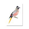 Toucan Watercolor Tropical Rain Forest  Wall Art Canvas Painting Nordic Toucan Posters And Print Picture Living Room Home Decor
