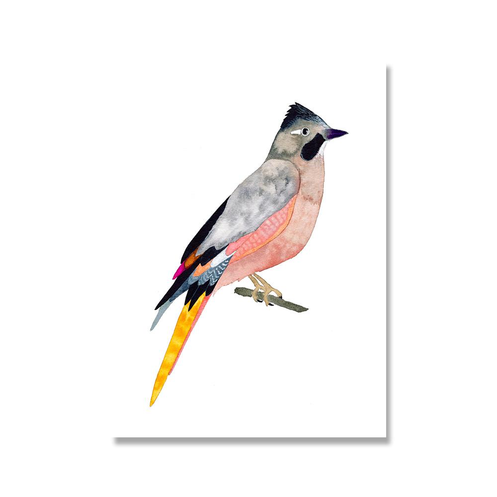 Toucan Watercolor Tropical Rain Forest  Wall Art Canvas Painting Nordic Toucan Posters And Print Picture Living Room Home Decor