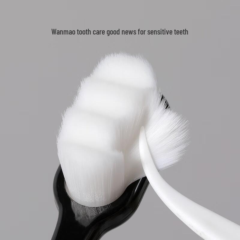 RAOYI Soft Bristle Toothbrush