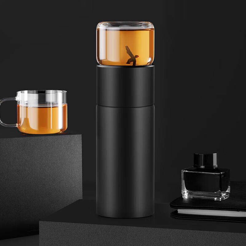 Portable Double-Wall Glass Tea Infuser Bottle