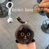 Squeezing Plush Black Cat Pendant 3D Eyes Cat Plush Keychain  Room Decoration