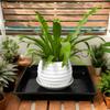 Flower Pot Saucers 2Pcs/set Square Flowerpot Water Dish Deep Plant Drainage Saucer Flower Plant Tray Base For Pots