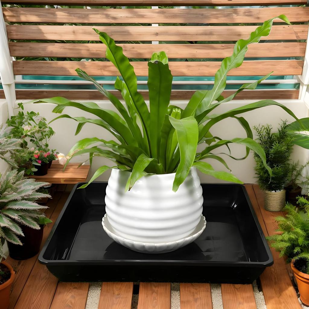 Flower Pot Saucers 2Pcs/set Square Flowerpot Water Dish Deep Plant Drainage Saucer Flower Plant Tray Base For Pots