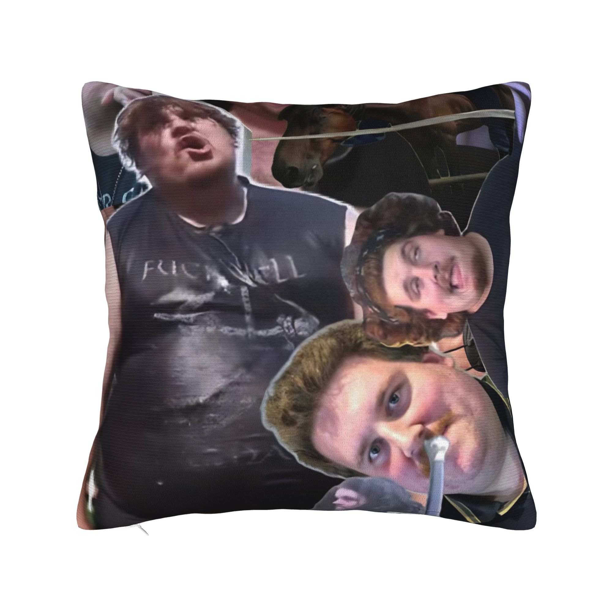 Decorative Pillow Covers Drachenlord Rainer Winkler  Merch Bed  Pillow Case Cover Zippered Multi-Size 12x12Inch