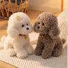 Teddy Dog Plush Toy With Pp Cotton Fill For Kids And Gift Giving