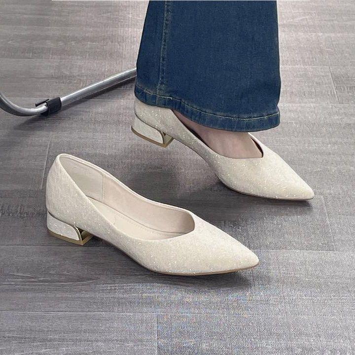 Shoes French 2025 pointed single shoes new summer with skirt shallow mouth Internet celebrity female thick heel bridesmaid versatile temperament